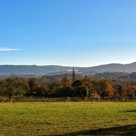 Апартаменти Garden Flat Near Goodwood With Stunning Views Пітерсфілд Екстер'єр фото
