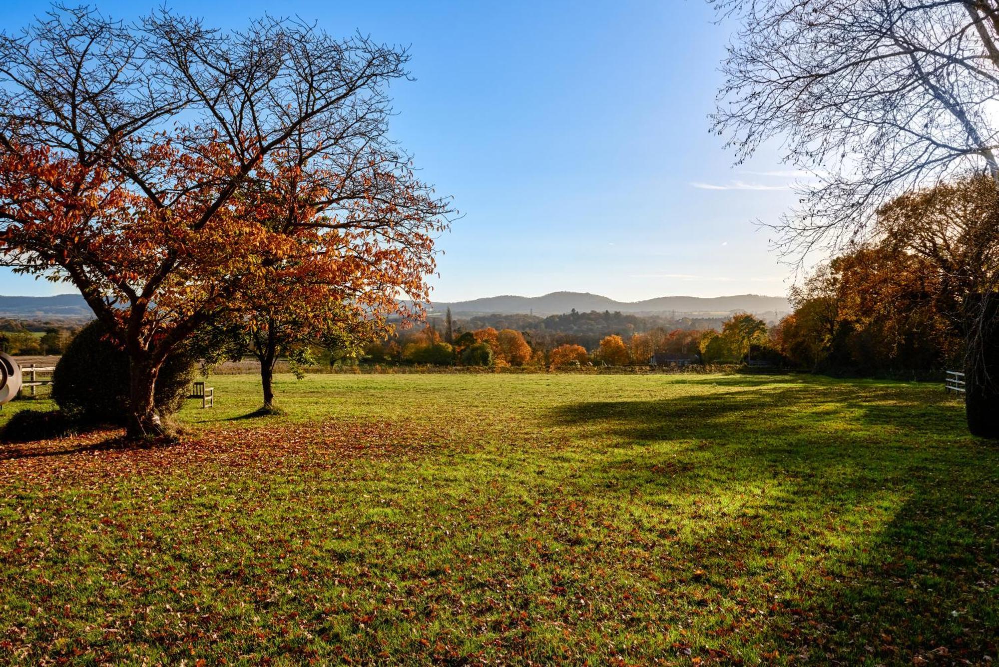 Апартаменти Garden Flat Near Goodwood With Stunning Views Пітерсфілд Екстер'єр фото